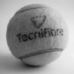 在线轰炸电话网页版免费测试